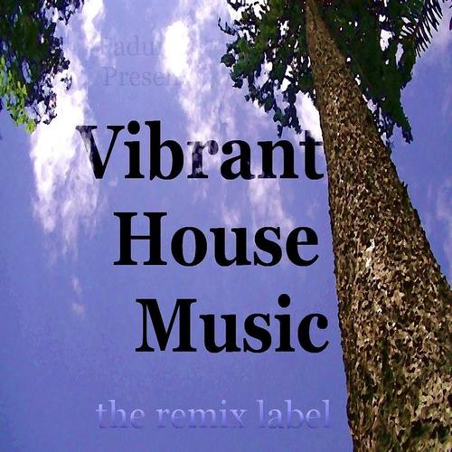 Vibrant Housemusic (Organic Deephouse Meets Inspiring Proghouse Best Tunes Compilation in Key-Gb Plus the Paduraru Megamix)