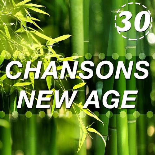 30 Chansons New Age pour se Détendre Vraiment - Ils comprennent la Pluie, les Vagues de l'Océan et d'autres Sons de la Nature