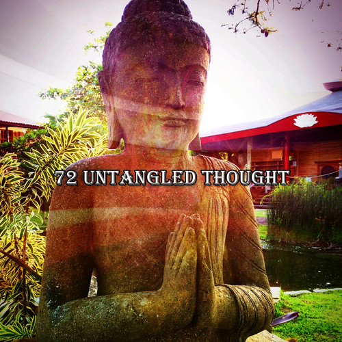 72 Untangled Thought