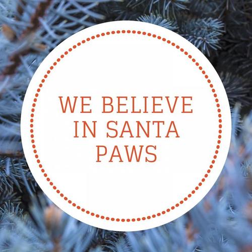 We believe in Santa Paws