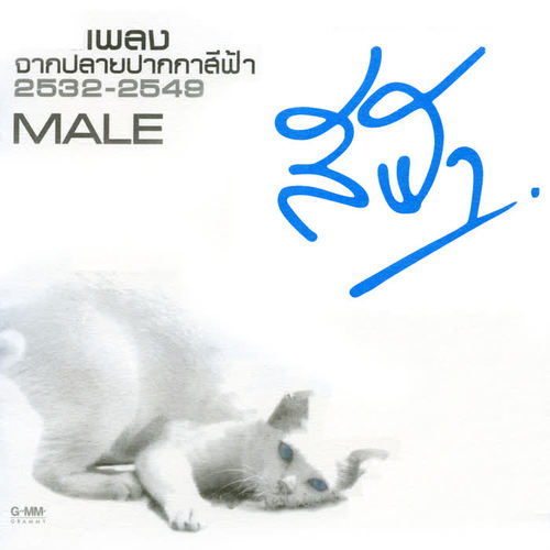 รวมเพลงจากปลายปากกาสีฟ้า MALE