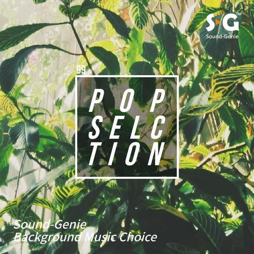 Sound-Genie Pop Selection 99