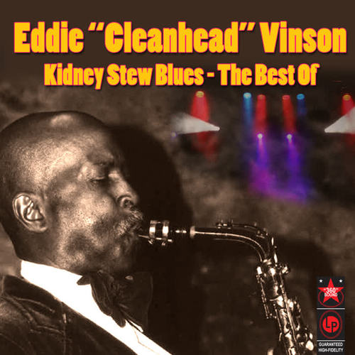 Kidney Stew Blues - The Best Of