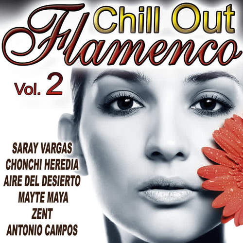 Flamenco Chill Out Vol. 2