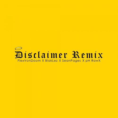 Disclaimer (Remix)