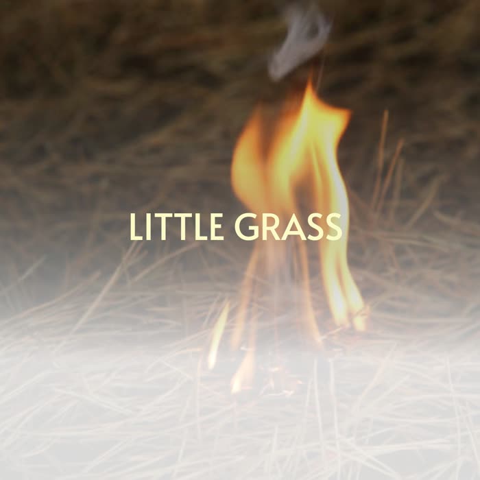 Little Grass