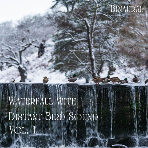 Binaural: Waterfall with Distant Bird Sound Vol. 1