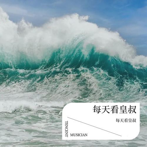 每天看皇叔