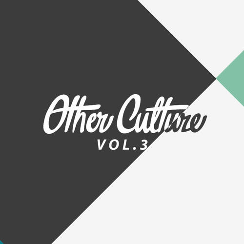 Other Culture, Vol. 3