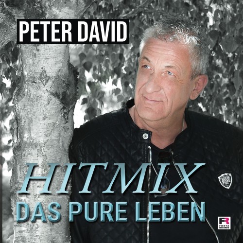 Hitmix Das pure Leben