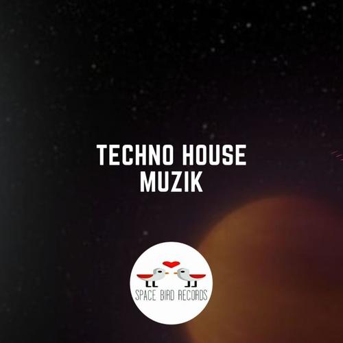 Techno House Muzik