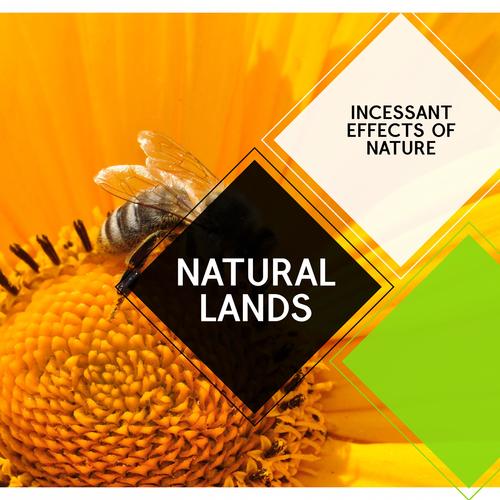 Natural Lands - Incessant Effects of Nature