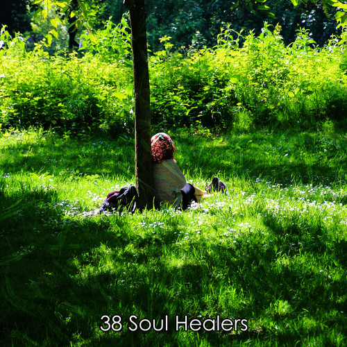 38 Soul Healers