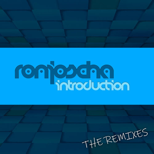 Introduction (The Remixes)