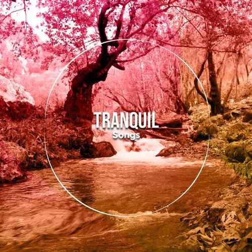 15 Sonidos Tranquilos para Calmar tu Cerebro