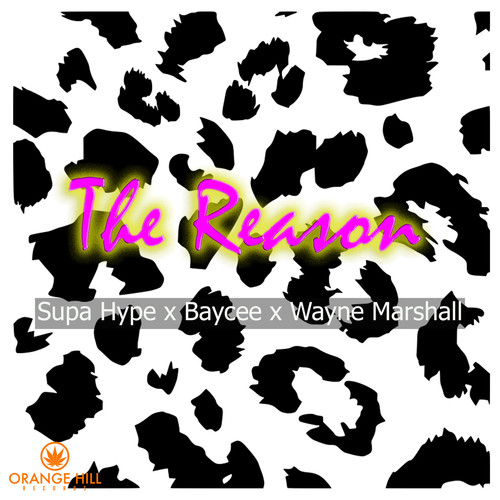 The Reason (Explicit)