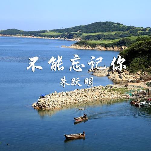 不能忘记你