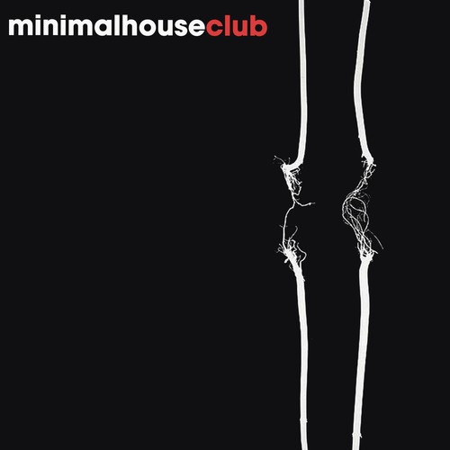 Minimal House Club