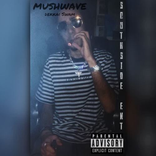 Mushwave (Explicit)