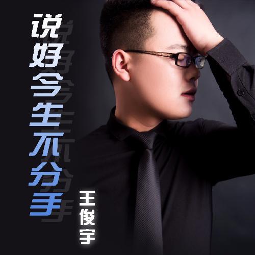 说好今生不分手