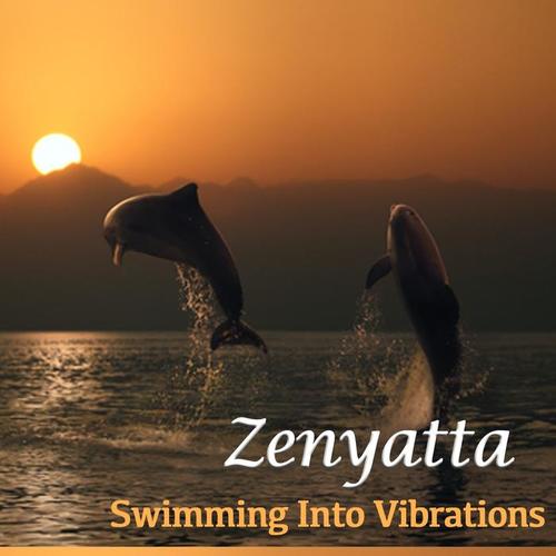 Swimming Into Vibrations