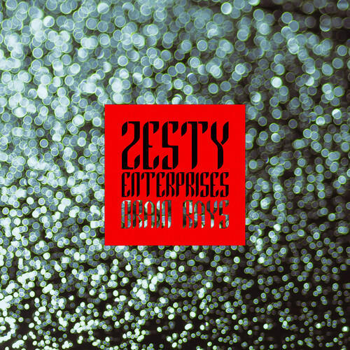 Zesty Enterprises (Explicit)