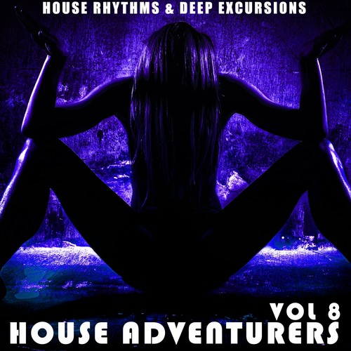 House Adventurers, Vol. 8