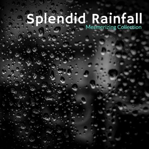 Splendid Rainfall - Mesmerizing Collection