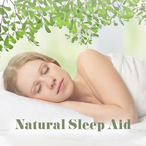 Natural Sleep Aid