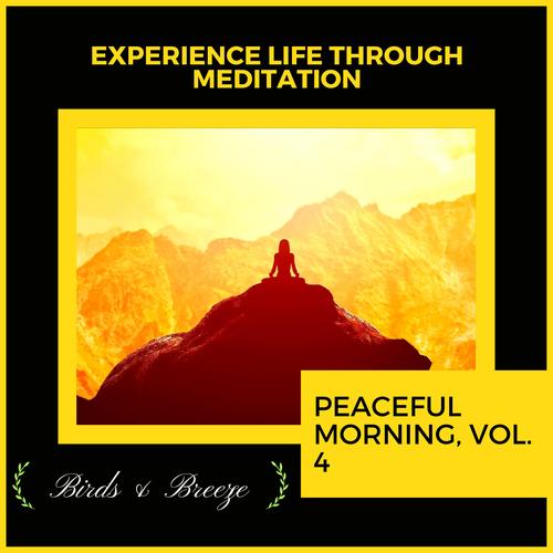 Experience Life Through Meditation - Peaceful Morning, Vol. 4