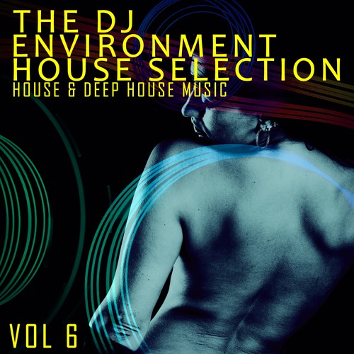 The DJ Environment: House Selection, Vol. 6