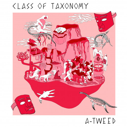 Class Of Taxonomy