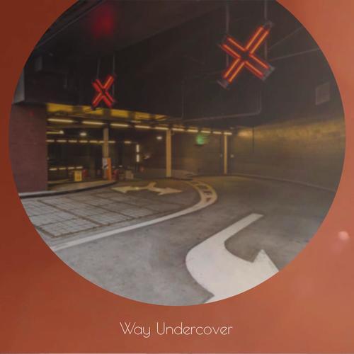 Way Undercover