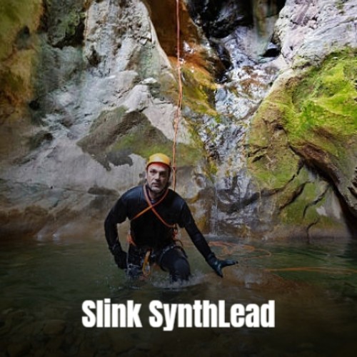 Slink SynthLead