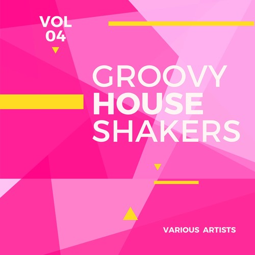 Groovy House Shakers, Vol. 4