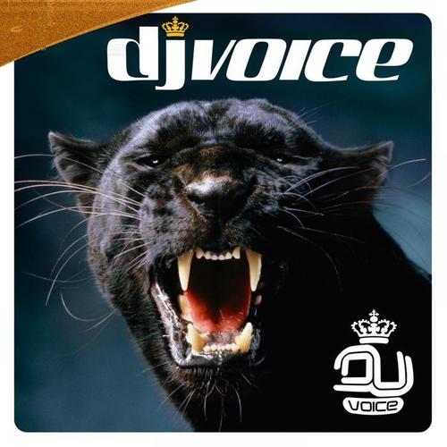 DJ Voice Vol 1 2006