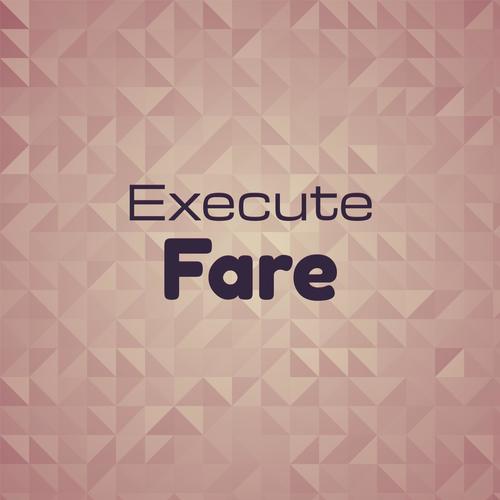 Execute Fare