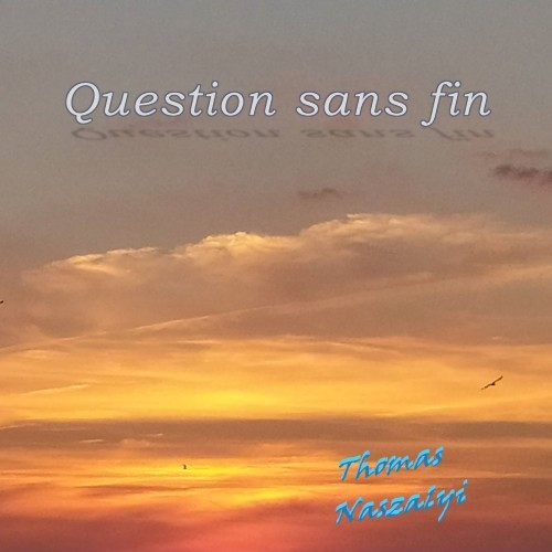 Question sans fin