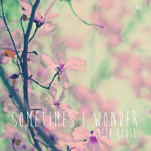 Sometimes I Wonder Deep House, Vol. 1