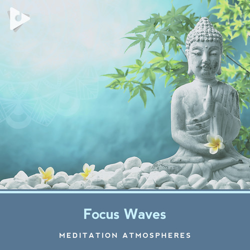 Focus Waves