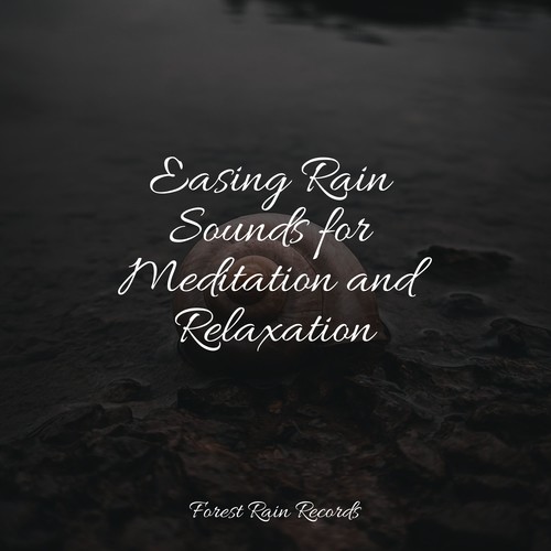 Easing Rain Sounds for Meditation and Relaxation