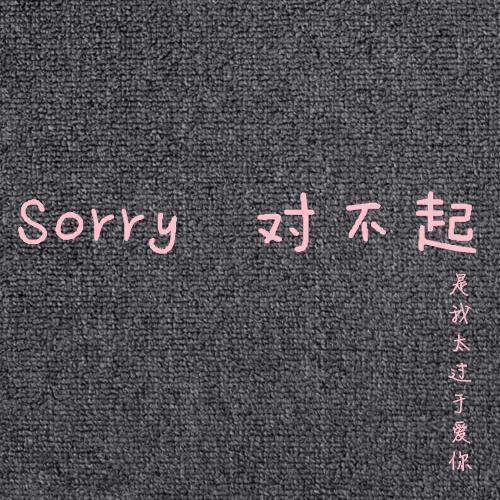 Sorry对不起