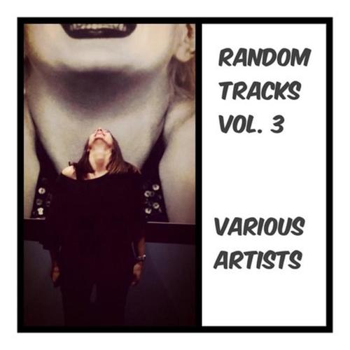 Random Tracks, Vol. 3