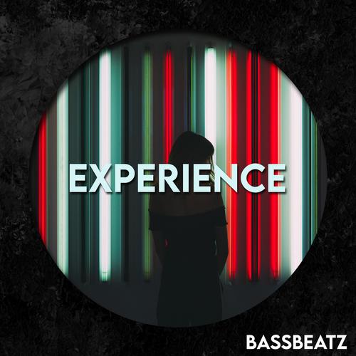 Experience