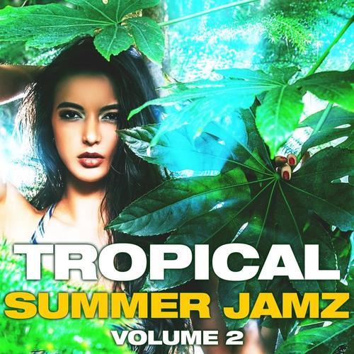 Tropical Summer Jamz, Vol. 2 (Explicit)