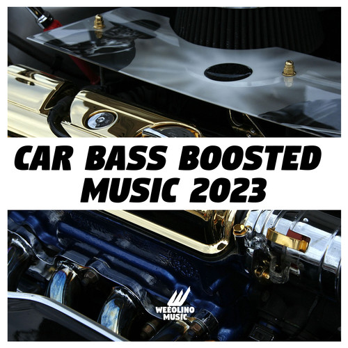 Car Bass Boosted Music 2023 (Explicit)