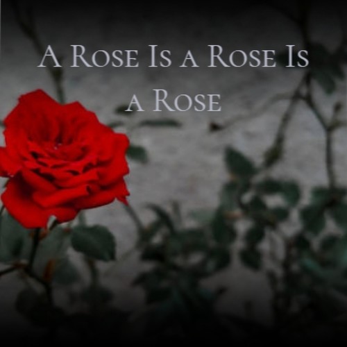 A Rose Is a Rose Is a Rose