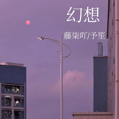 我幻想过我们牵了手不再分