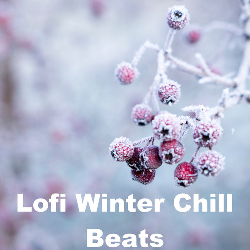 Lofi Winter Chill Beats