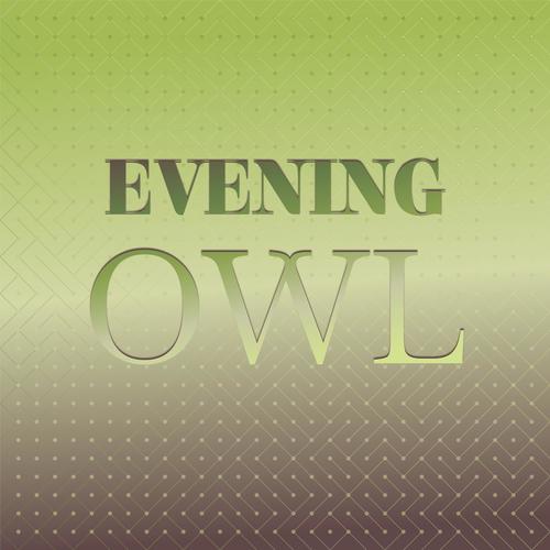 Evening Owl